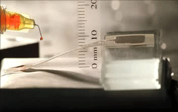 Water droplets travel up a tiny plastic strip