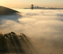 San Francisco's Golden Gate Bridge and Bay Bridge loom above a blanket of fog.