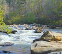 mountain river flowing through a forest