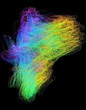 a simulation of oil flow through water, based on computational fluid dynamics simulations.