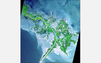 Satellite image of a delta.