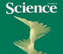 Cover of the June 12, 2009 edition of the journal Science.