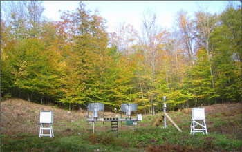 Photo showing equipment at NSF's Hubbard Brook LTER Site that monitor rainwater chemistry.