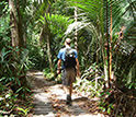 Photo of Scientist Joel Kimmel walking along the trail to the K34 tower.