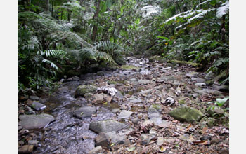 Photo of Luquillo in Puerto Rico, which will be the subject of a talk about stream and river flow.