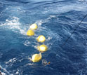 Photo of a current meter and chain of floats deployed as part of several-kilometers-long mooring.