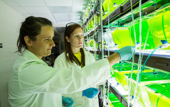 Two women in a lab with algal samples