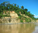 Photo of a river bluff which is used as a sampling location, in the Peruvian Amazon.