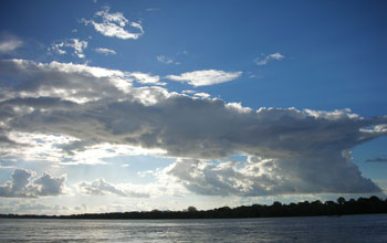 Photo of the Amazon River with rain forest on the far bank and clouds in the sky.