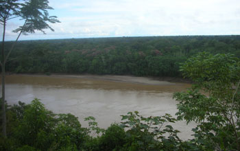 Photo taken from a river bluff of the Madre de Rios River in Peru.