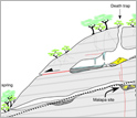 Illustration showing how Austalopithecus sediba may have fallen into a geologic death trap.