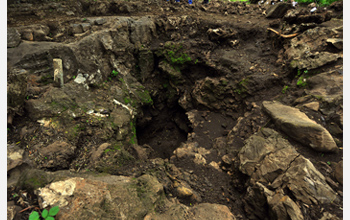 Photo of excavations at Malapa, South Africa.