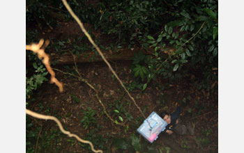 Using liana vines to hoist sampling equipment up to the tree canopy of a Thai rainforest