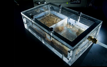 Photo of a respirometry chamber used to measure metabolic rates of whole ant colonies.