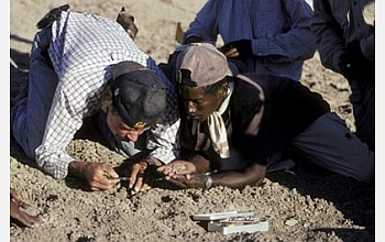 Tim White (left) gently lifts a piece of the shattered tooth.