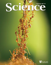 Cover of September 4 Science magazine.