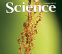 Cover of September 4 Science magazine.