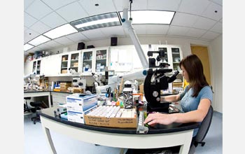 Photo of the zooplankton laboratory at SFSU's Romberg Tiburon Center.