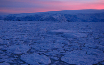 A beautiful view of Arthur Harbor, near Palmer Station, in the glow of a mid-winter day