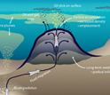 Diagram showing formation of an asphalt volcano and associated release of methane and oil.