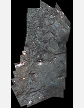 Photo of a slab from an asphalt volcano discovered on the sea-floor of the Santa Barbara Channel.