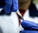 person holding a chiral nanoparticle film