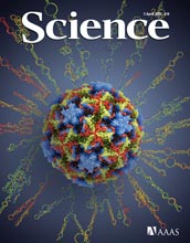 The cover of the April 3, 2009 edition of the journal Science.