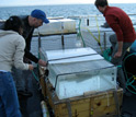 Photo showing setup of incubation experiments to study phytoplankton response to acidification.