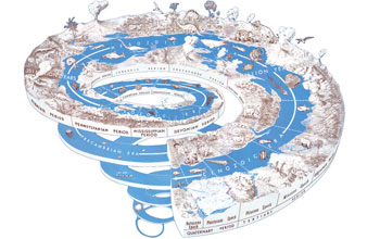 Graphic illsutration showing a spiral with geological time periods