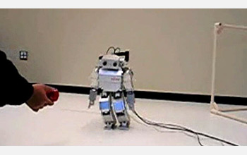 a metal robot named Morphy following a ball held by a researcher.