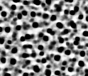 Scanning electron micrograph of the top view of the porous-silicon wafer