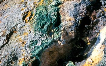 Yellow sulfur deposits and green Galdieria alga on a rock