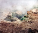 Green alga Galdieria on rocks near a steamy Yellowstone hot spring.