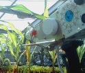 This image shows the original depolarized light sensor apparatus studying plant leaves