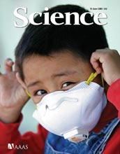 Cover of June 19, 2009 Science magazine.