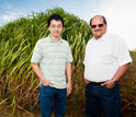 Photo of Praveen Kumar and Phong Le at a miscanthus research plot in Champaign, Ill.