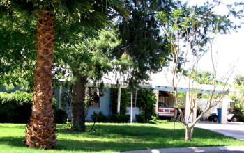 Photo of a non-native grass lawn in Phoenix with a house, garage and cars in the background.