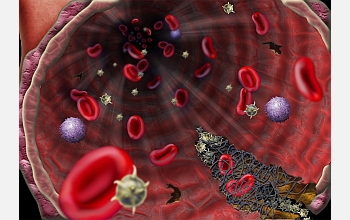 Scientists have developed a microfluidic system that successfully models blood clotting.