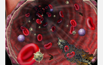 Scientists have developed a microfluidic system that successfully models blood clotting