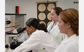 Student looks into microscope as other students in lab look on.