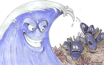 Cartoon showing a threatening wave scaring blue mussels