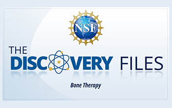 discovery files banner logo