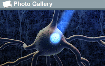 a neuron with a ray of light and the text photo gallery