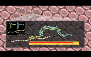 Still of animation illustrating how small conditional RNAs can target and kill cancer cells.