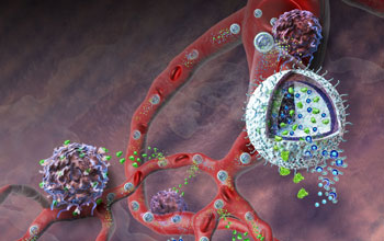 Illustration depicting the nanolipogel administering its immunotherapy cargo.