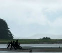 Photo of a glacier river flowing into the Gulf of Alaska.