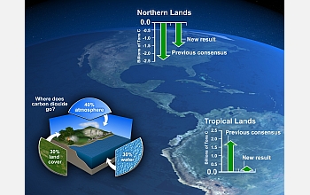 Northern forests play a smaller role in offsetting global warming than previously thought.