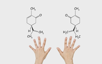 a two mirror molecules with right and left hands.