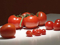 Photo of different types and sizes of tomatoes