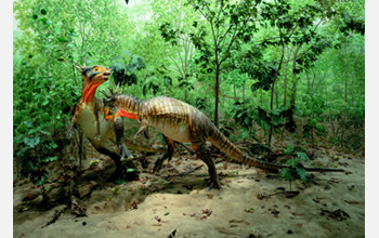 A diorama of a Cretaceous Creekbed.